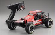  RC Cars 1