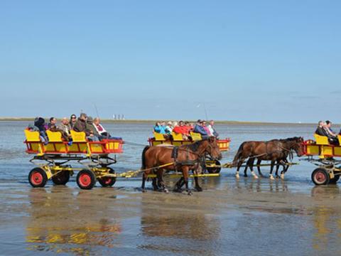 Freizeitgestaltung in Cuxhaven an der Nordsee