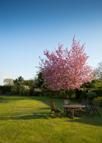 Ihr Partner für Gartenarbeiten und mehr in Velbert Gebäudereinigung und exzellente Gartenpflege um Velbert