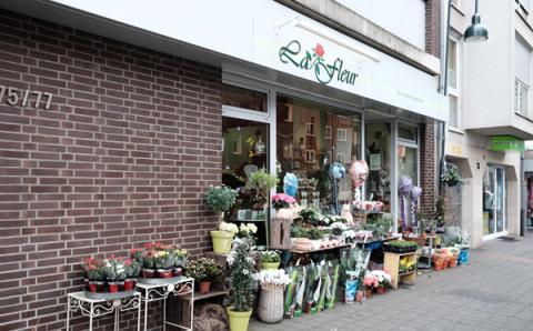 La fleur Brodmühler in Aachen in Aachen