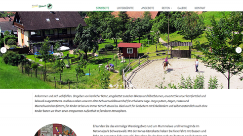 Ferienhof Bohnert - Ferienwohnungen in Seebach in Seebach