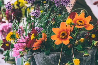 Floristik Sterk - Blumengeschäft in Leverkusen in Leverkusen