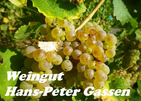 Webseite von: Weingut Hans-Peter Gassen in Zell Weingut Hans-Peter Gassen in Zell in Zell (Mosel)