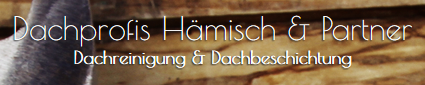 Fachmännische Dachsanierung in Kassel: Dachprofis Hämisch & Partner in Schauenburg