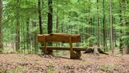 Beerdigung im Wald nahe Berlin. Bestattung in den Wäldern von Berlin.