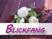 Blickfang Iris Tellermann - Blumengeschäft in Verden (Aller) | Verden (Aller)
