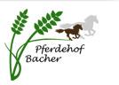 Pferdepension und Offenstall in Überlingen: Pferdehof Bacher am Bodensee | 88662