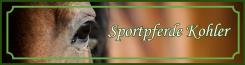 Ponys von Sportpferde Kohler in Biberach | Biberach
