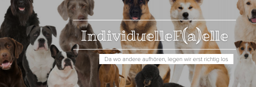Firmenprofil von: Hundeschule Individuelle F(a)elle in Hildesheim: Welpenschule und mehr